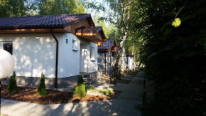 Camp Marina, Sulęcin